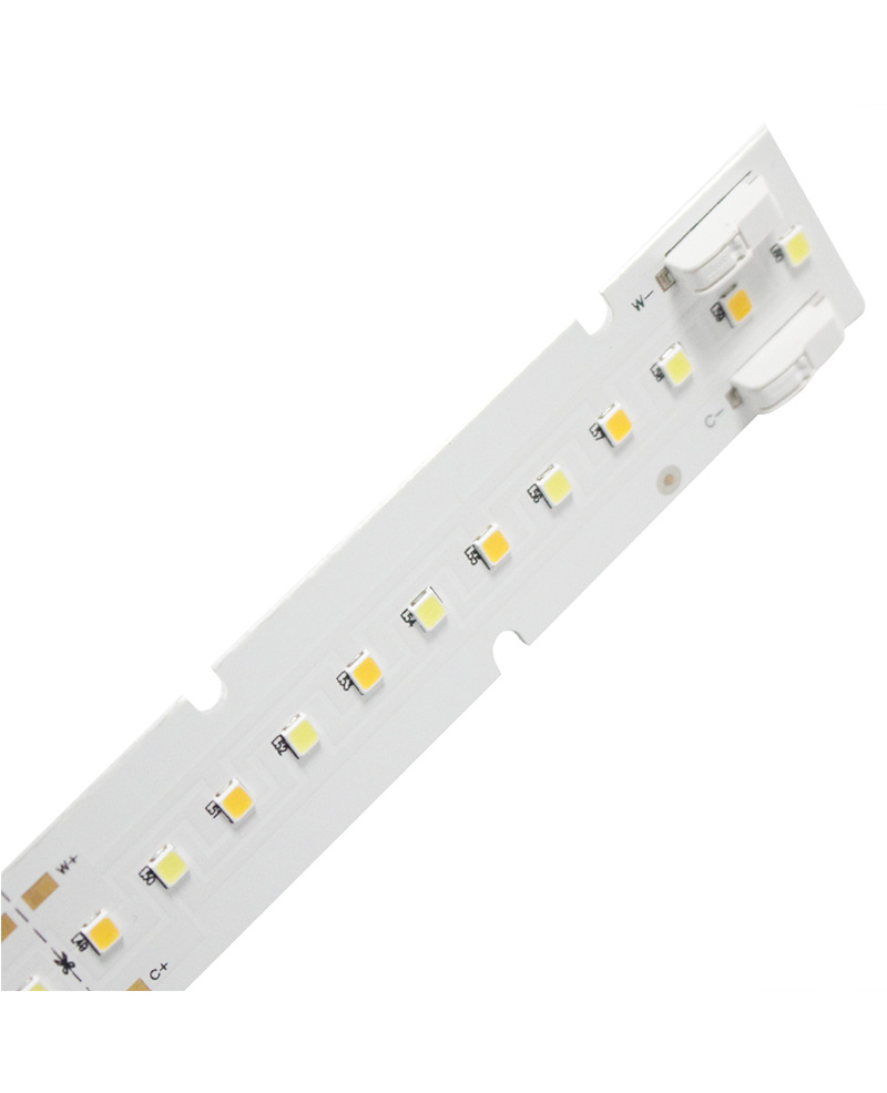 Tunable White Module--24V DC Series